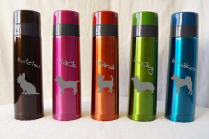 IWi@yybg@XeX{gCzFX@VGbgƂ񂿂̂O𒤍I@ybĝUoɁ@@syyMt_zyyMt_Iz