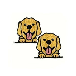 by@yS[fgo[@2Zbgz@@CjV@obOADȂƂɃAbvP@nhChɁ@|