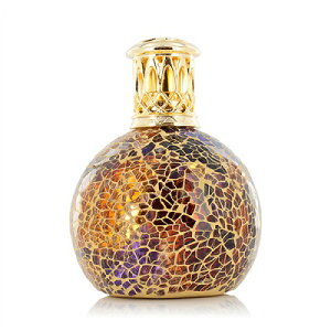 tOXv@yAshleigh&Burwood AVCAho[Ebh@STCY@S[fTZbgz@ybgɂg