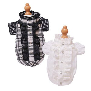 ybg@yGODPIVA@mg[t`FbNuEXz@IVȂ񂿂Ɂ@GP25SS