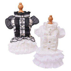 ybg@yGODPIVA@mg[t`FbNs[Xz@IVȂ񂿂Ɂ@GP25SS