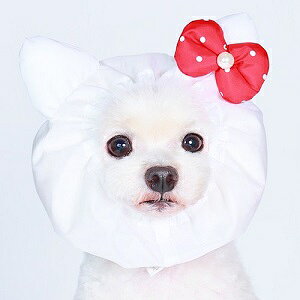 Xk[h@yGODPIVA@Aj}CXk[h@lR@XSESEMz@H̎̓`IV[Xk[hƂĂ