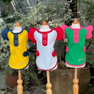 ybg@yGODPIVA@HEATg^Nz@IVȂ񂿂Ɂ@GD21AW