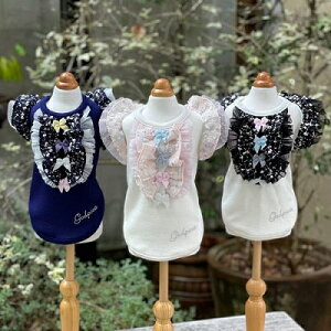 ybg@yGODPIVA@HEATӂӂ||jbg^Nz@IVȂ񂿂Ɂ@GD21AW