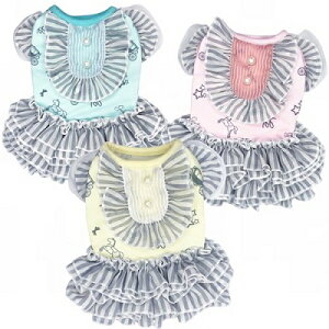 ybg@yGODPIVA@COOL[S[hs[Xz@IVȂ񂿂Ɂ@GP2022SS