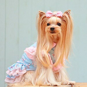 ybg@yGODPIVA@COOLgJ[{s[Xz@IVȂ񂿂Ɂ@GP2022SS