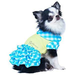 ybg@yGODPIVA@COOLMK`[s[Xz@IVȂ񂿂Ɂ@GP2022SS