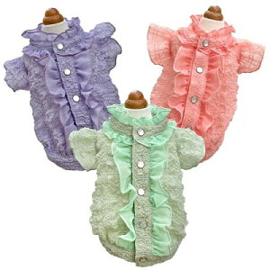 ybg@yGODPIVA@t[ctuEXz@IVȂ񂿂Ɂ@GP2023SS