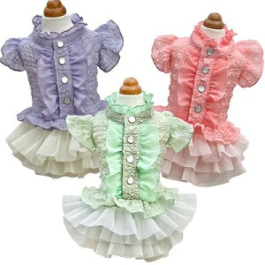 ybg@yGODPIVA@t[cts[Xz@IVȂ񂿂Ɂ@GP2023SS