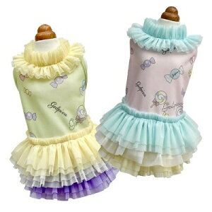 ybg@yGODPIVA@COOLLfBPOPs[Xz@IVȂ񂿂Ɂ@GP2023SS