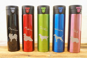 IWi@yybg@XeX{gBzFX@VGbgƂ񂿂̂O𒤍I@ybĝUoɁ@@syyMt_zyyMt_Iz