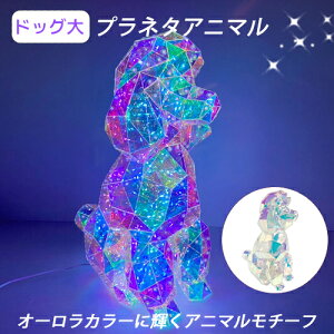 ygracias OVAXz  vl^Aj} hbO   LED[vCg USBd LED C~l[V Cg 7̓_Ńp^[ IuWF I[J[ Aj}`[t PETf
