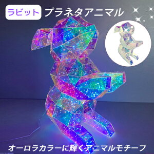 ygracias OVAXz  vl^Aj} rbg  LED[vCg USBd LED C~l[V Cg 7̓_Ńp^[ IuWF I[J[ Aj}`[t PE
