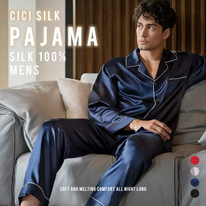 VN pW} YyCICI SILK VNpW} z pW} fB[X VN100 [EFA t ㉺Zbg  ZbgAbv 킢 OJ  iCgEFA 100  傫