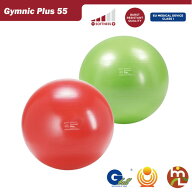 ギムニク PLUS（プラス）ボール 55cm