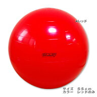 ギムニク クラッシックボール 55cm