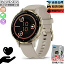 【店内最大ポイント42倍】【取説印刷】【保護フィルム】GARMIN ガーミン V