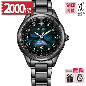 y2000~OFFN[|zz&XPő43{zyT[rXzEE1008-56E V`Y NXV[ GRhCu dgv xC fB[X rv CITIZEN LAYERS of TIME 胂f E1,500{yK