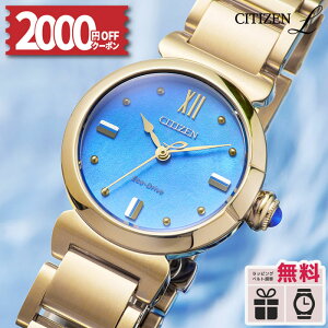 �y2000off���ő�P51�{�I�z�V�`�Y���G�� ���E���h�R���N�V���� EM1133-85L �����d�G�R�E�h���C�u �\�[���[ �h�� ���F �S�[���h �V�`�Y��L CITIZEN L �V�`�Y�� �G�� �\���F�C���N �d�r�����s�v ���胂