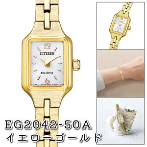 �y�X���ő�|�C���g39�{�z�V�`�Y�� �L�[ EG2040-55A EG2042-50A EG2043-57A �����d �G�R�E�h���C�u �\�[���[ CITIZEN kii: kii �V�`�Y�����f�B�[�X���v �\�[���[�r���v �d�r�����s�v ������� ���� ����