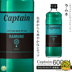 yLveVbvzl 600ml /  mAR[ 4{ߗphNVbv [X]