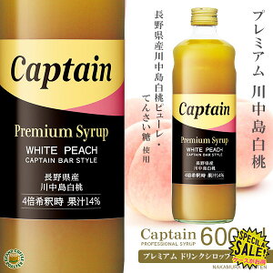 yLveVbvzv~A 쒆 600ml (r)Eߗp ^ 쌧 쒆 s[gp [X]@[J[b7ijꎞxEĔ̗\25N9{