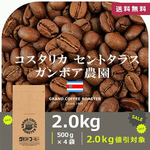 yʌzRX^J Zg^X K{A_  / ̂܂܁E [ R[q[ (O) 100g 200g 500g 1.0kg 2.0kg ]