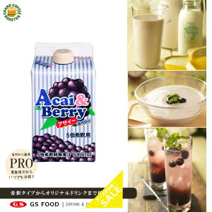 yW[GXt[hzGSATC[&x[ 500ml^ߗpVbv \[XEƖp pbN