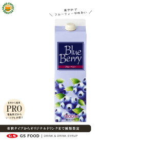 【ジーエスフード】GS ブルーベリードリンク／1000ml・業務用 果汁飲料