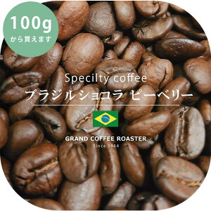  [ XyVeBR[q[ ] uWVR s[x[ / `[ / ̂܂܁E [ R[q[ (O) 100g 200g 500g 1.0kg 2.0kg 5.0kg ] uW TgAgjI v~A