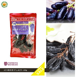 P[X Y AUS}tԂǂ hCt[c 40g 15ܓ ꕔnʓrKv