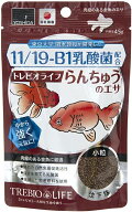 吉田飼料 トレビオライフ らんちゅうのエサ 45g 乳酸菌 国産クロレラ 国産フィッシュミール配合