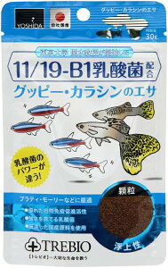 grI Obs[EJṼGT30gܖ 2026N10