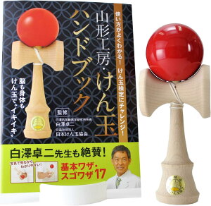 {ʋ ʁu吰v nhubNZbg Yi(TAISEI KENDAMA)R`H[