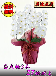 Ӓ@ց@3{@27ֈȏiڂݍ݁j Yn@j@v[g@Mtg@JƁ@JƁ@ړ]@܁@i@AC@蕨@N@