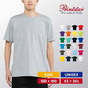Tシャツ メンズ レディース 半袖 綿 おしゃれ 無地 100 110 120 130 140 150 XS S M L XL 2XL 3XL カジュアル シンプル スポーツ テニス サッカー ダンス 学生 スクール 仕事 イベント 定番 男女兼用 ユニセックス Printstar プリントスター ベーシックTシャツ 00086-DMT