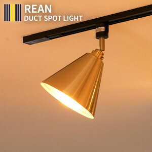 yƖ Cg 1 V[OCg V[Ov _Ng[p LIAN A X|bgCg _ECg LED Ή  Ɩ CeBO[ k JtF _ Q 