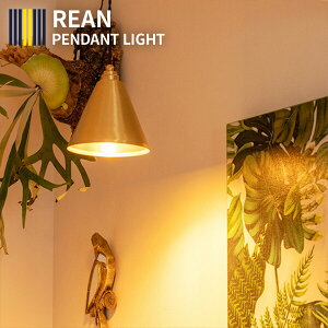 yƖ Cg 1 y_gCg LIAN A LED Ή  Ɩ k JtF o[ Xg Q _ JE^[ Lb` _CjOp ^J dCz