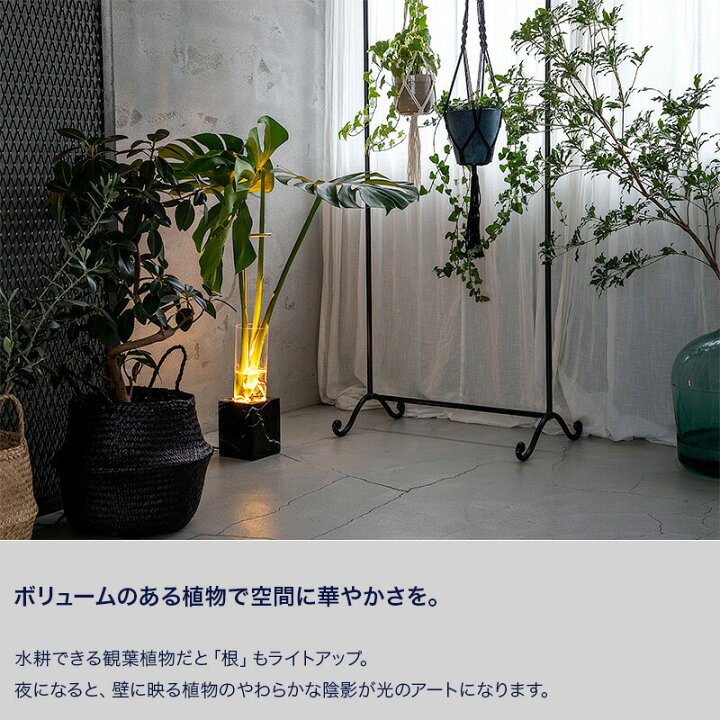 楽天市場】間接照明 フロアライト 花瓶 観葉植物 アッパーライト 