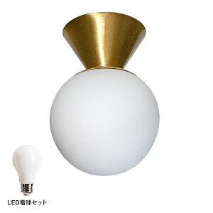 MAU NEBEL CEILINGLIGHTi}Elx V[OCgj / V[Ov /  Ɩ led Ή Ɩ V rO _CjO q Q  gC XgJtF k Vv