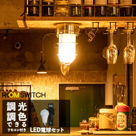 【リモコン LED電球 セット 照明 ライト 1灯 シーリングライト シーリングランプ SELKIRK セルカーク スポットライト ダウンライト おしゃれ 照明器具 調色 北欧 カフェ モダン 寝室 トイレ 小型 電気 間接照明】