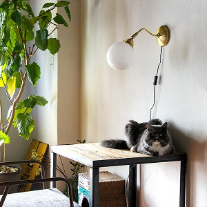 Gg[+10{ SiΏ ARTWORKSTUDIO 1 ^S EH[Cg AW-0422 AW-0069 EH[v x[VbNOEH[S 60W E26 LEDΉ KX Vv g AeB[N re[W 