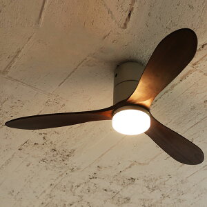 V[Ot@ V[Ot@Cg y LEDR t AEbh VR Ebh  Ɩ Ɩ V V[OCg V[Ov rO _CjO Q