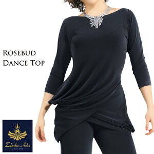 Ќ_X gbvX Ќ_Xߑ K bXEFA  ubN YfJ AR NXwE`jbN Zdenka Arko _ e X^_[h _X fB[X  XS-L CO