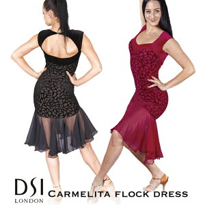 Ќ_X ߑ Ќ_Xߑ hX e s[X DSIh DSI London J[^EtbNEehX Ќ_XEFA CO uh