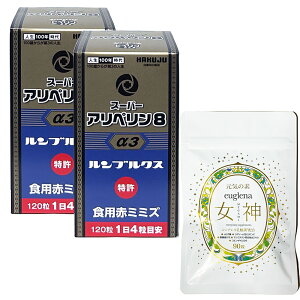 [Oi_Zbg X[p[Ay8 2 Ki K̔㗝X Ǘ SK ~~Yyf Oybp[ wXyW ^LVtH E21 Ay  HGH  HGH