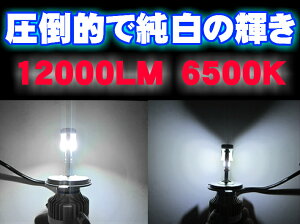 【送料無料】CITIZEN(シチズン)製チップ搭載LEDヘッドライト/フォグランプ左右2個セットH4Hi-Lo/H8/H11/H16/HB3/HB4/H1/H3/PSX26/HIR2(9012)新基準車検対応6500k12000LMHID超えの発光量【安価な類似品にご注意】