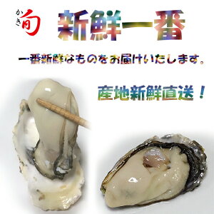 _Ȃ獡^^CZ[3%offN[|s kty3kg@嗱@̔520܂Ł@ŗ@YnVN@HOK@s