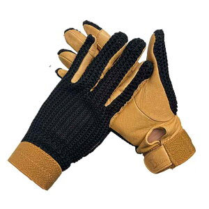 n O[u  ~ ϖ ʋC X|[c Y fB[X   