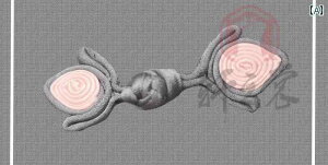 obN `Ci{^ |  ߑ t[ g WG[   sN O[ zCg 